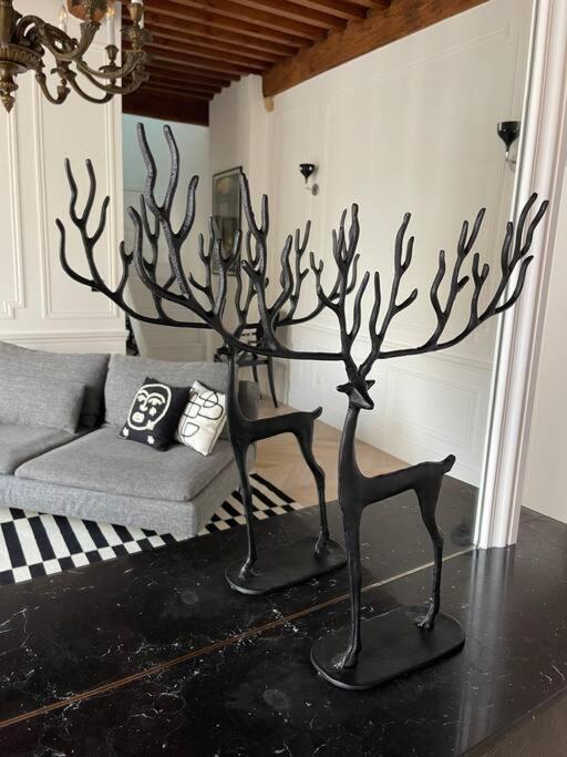 Le Grand Cerf By La Chambre A Cote Metz Eksteriør bilde